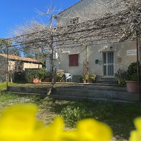 Virgy's House * Vignale (Livorno)